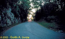 "Manovre" effettuate su strada privata...